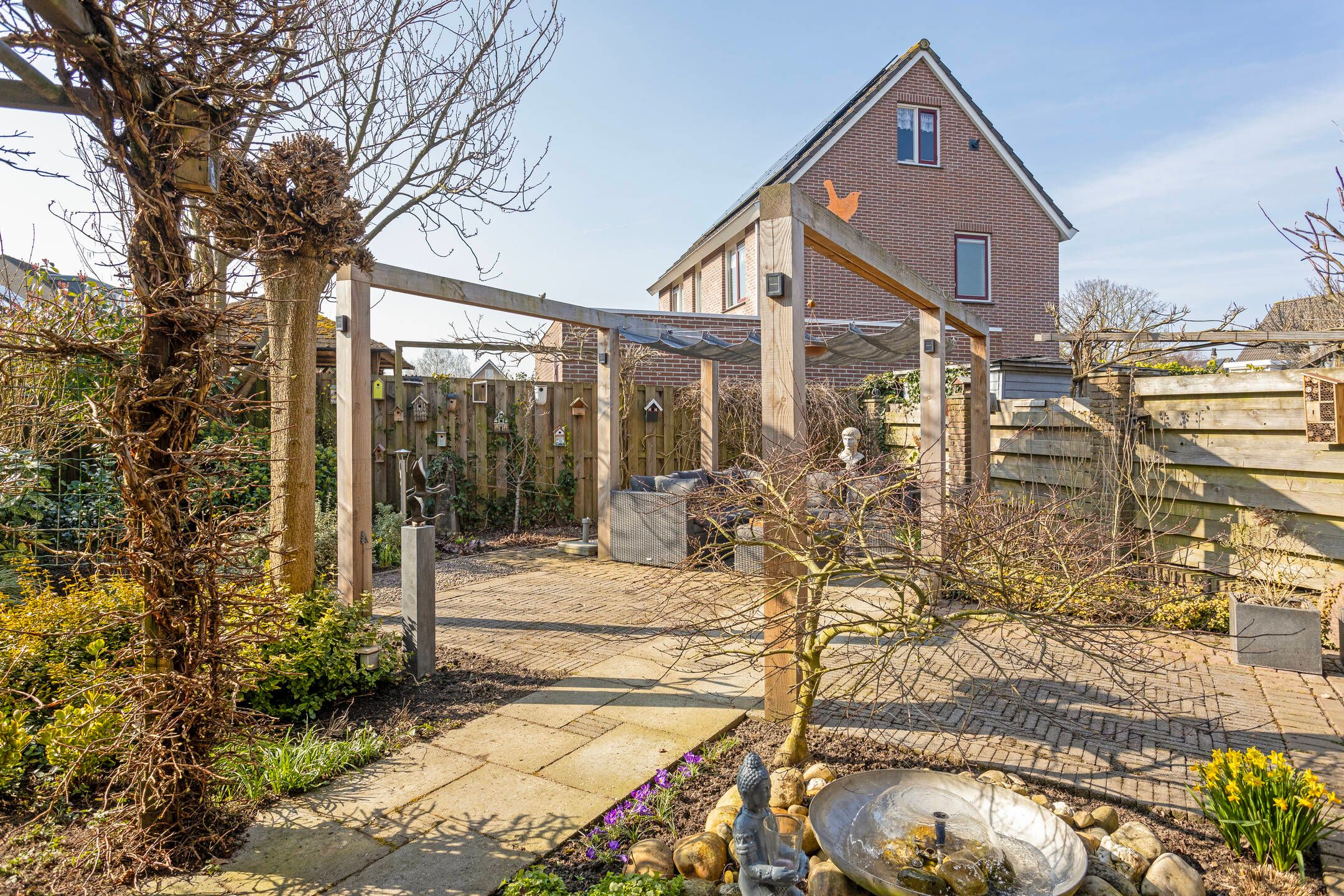 Foto 66 van Bonenkamp 5