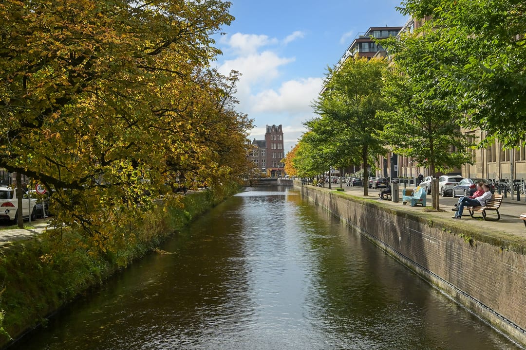 Foto 43 van Anna Paulownastraat 33