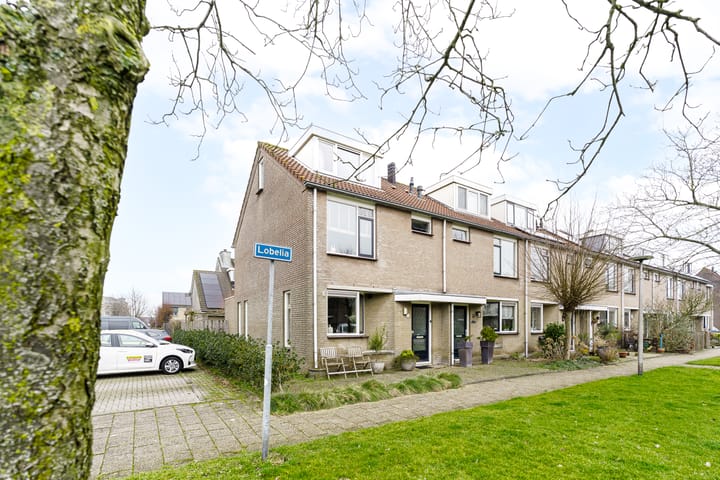 Foto 3 van Lobelia 1