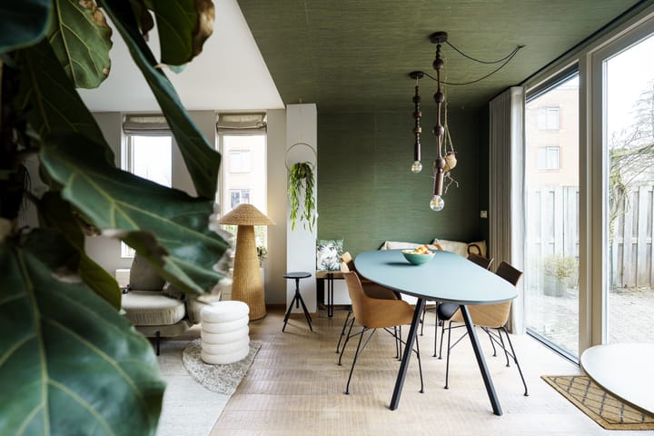 Foto 9 van Lobelia 1