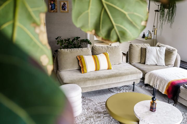 Foto 10 van Lobelia 1