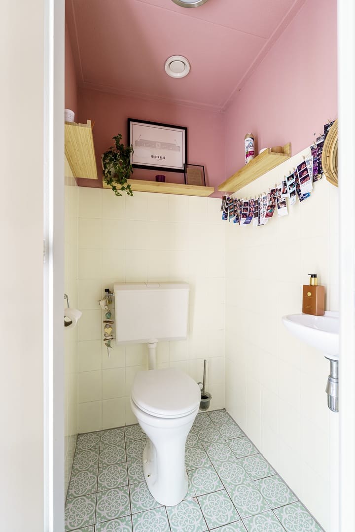 Foto 15 van Lobelia 1