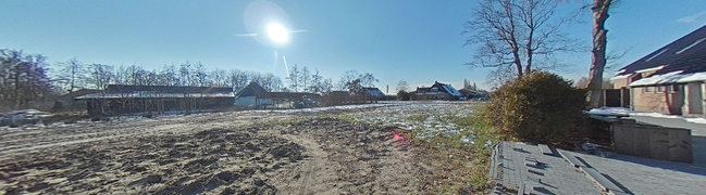 achtertuin