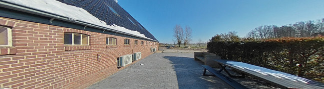 achtertuin