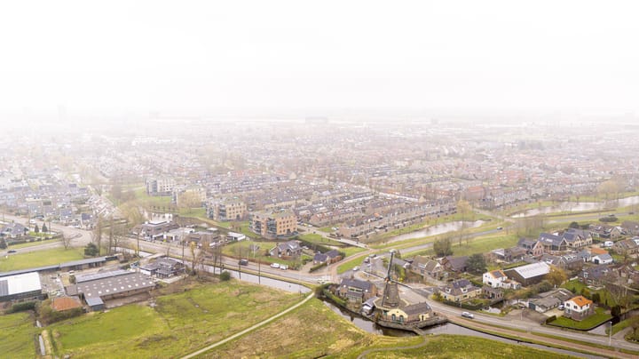 Foto 31 van Lobelia 1