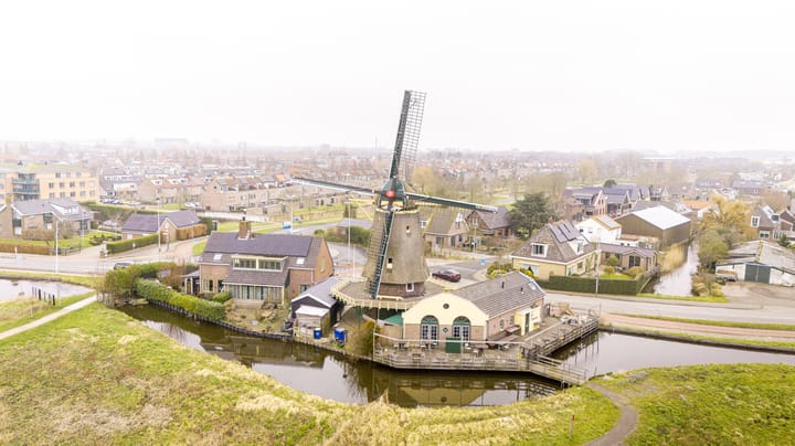 Foto 33 van Lobelia 1