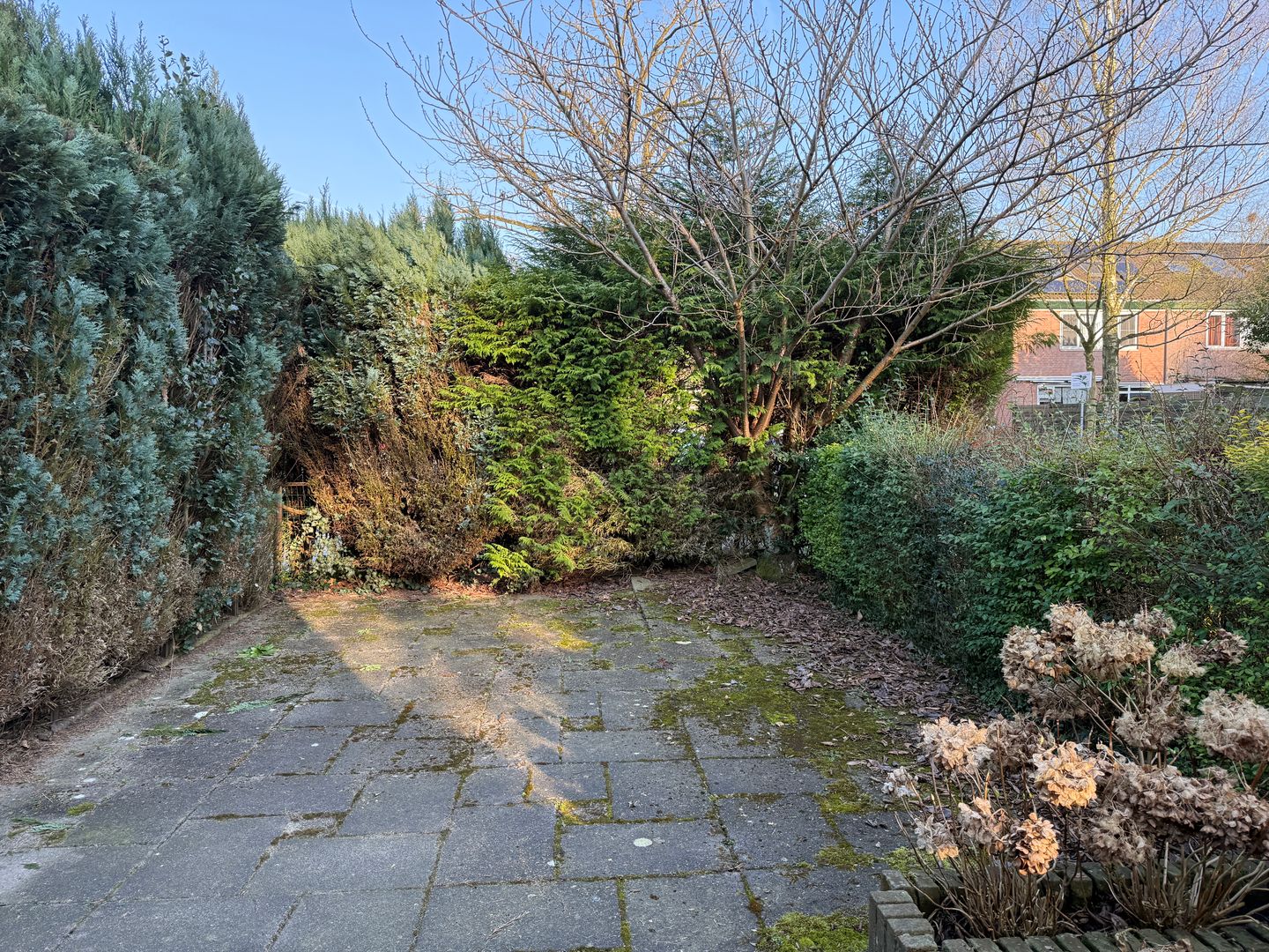 Photo 20 of Roghorst 229