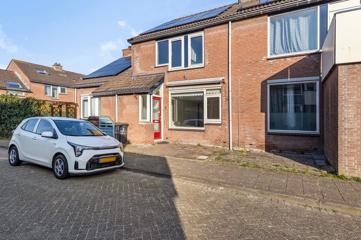 Bekijk foto van Zalm 3