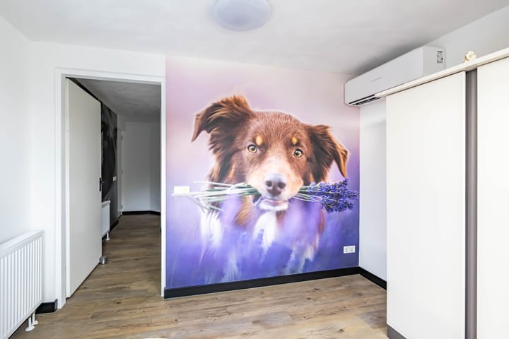 Foto 44 van Dorpsweg 13-B