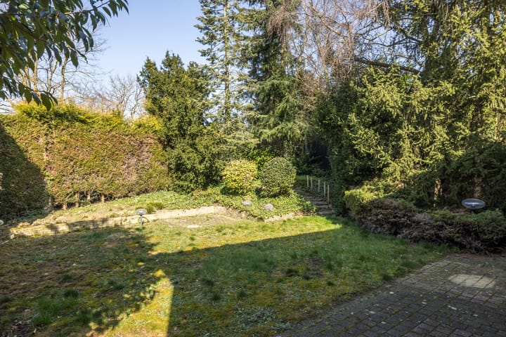 Foto 14 van Bospad 8