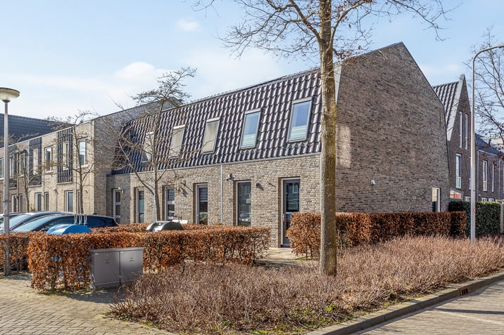 undefined main image