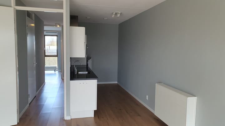 Foto 13 van Pablo Picassostraat 531