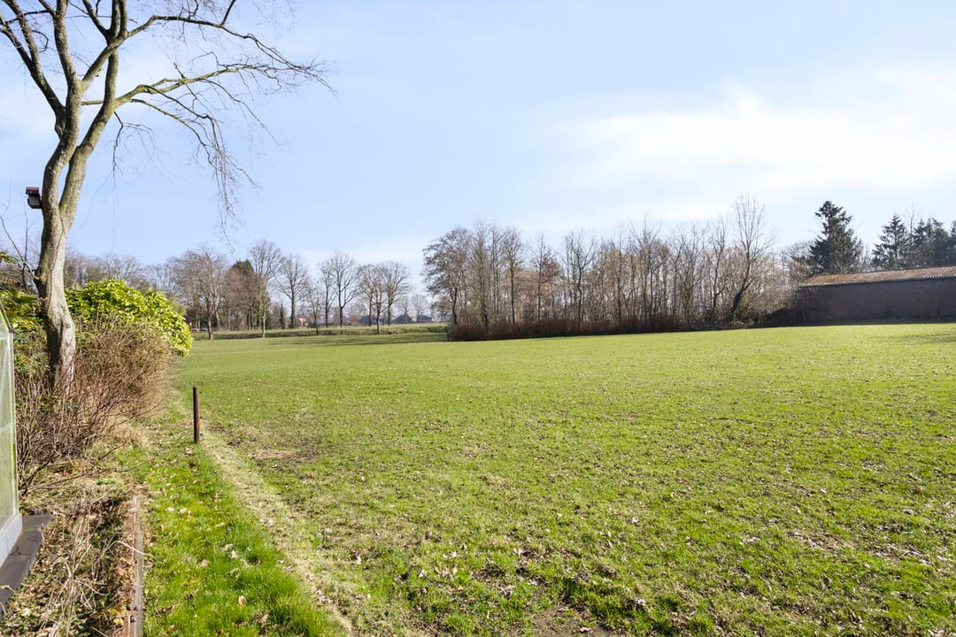 Foto 41 van Petersburg 5