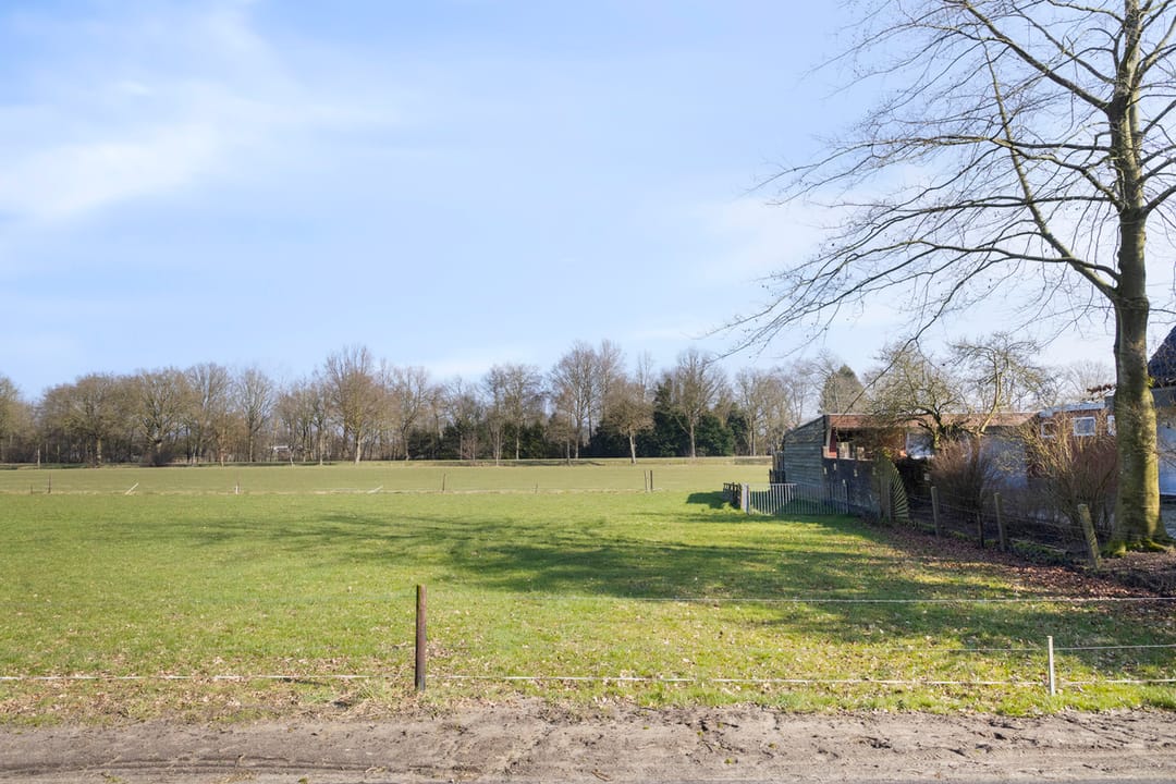 Foto 52 van Petersburg 5