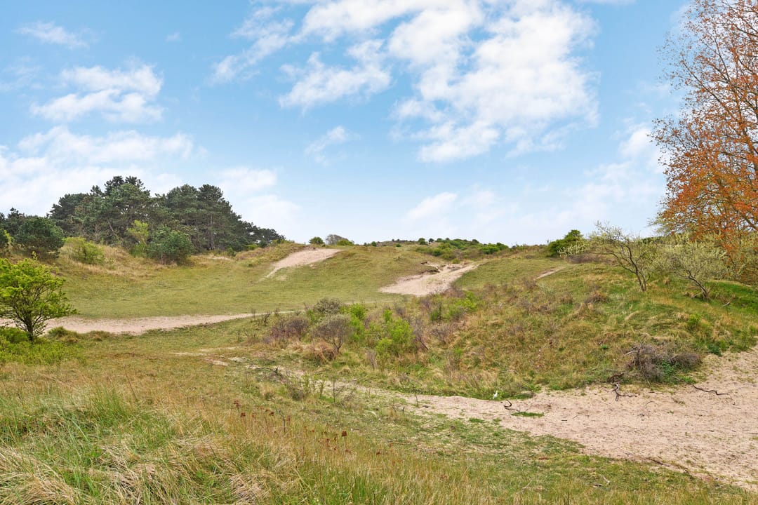 Foto 62 van Thorbeckestraat 38