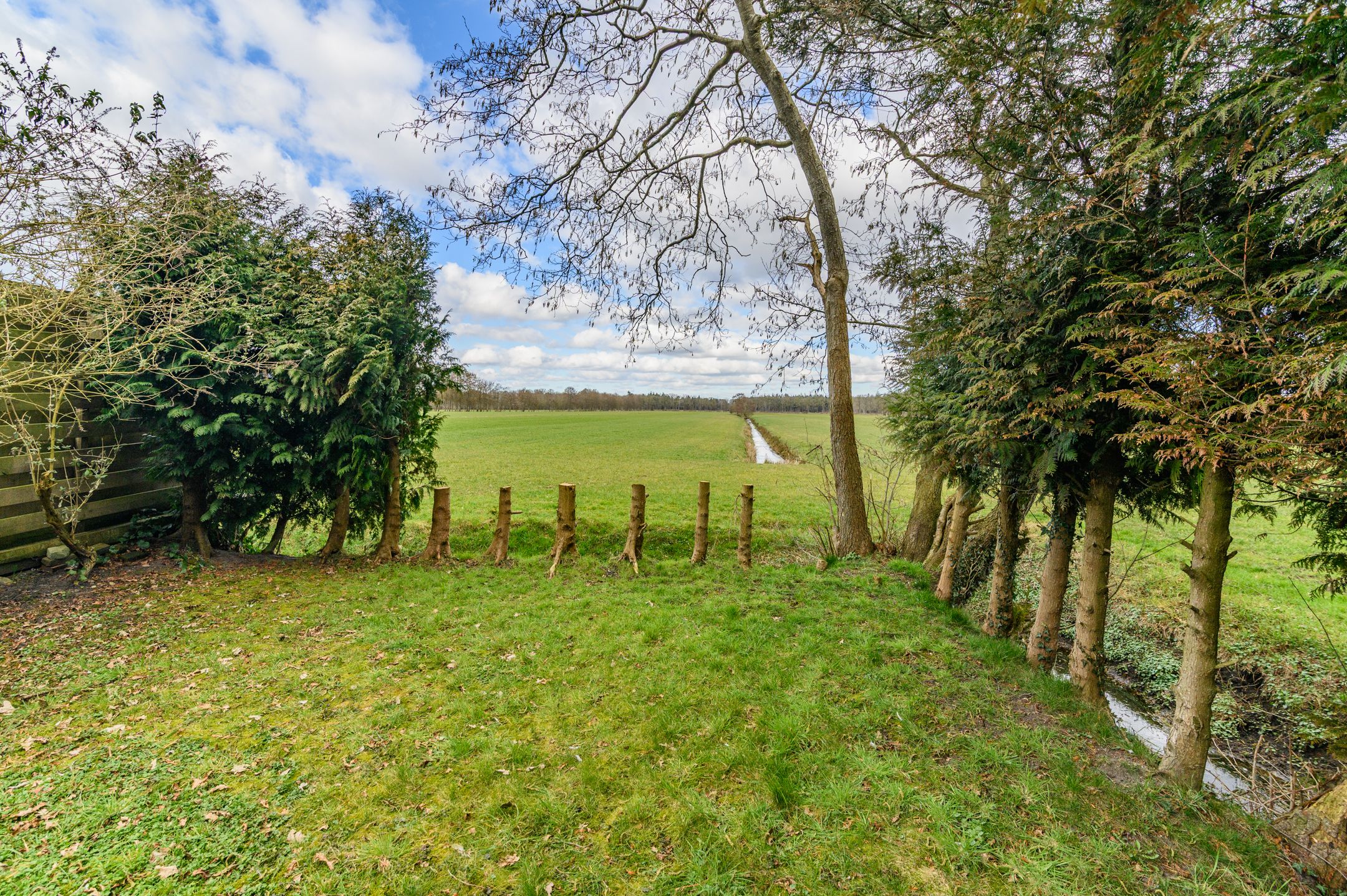 Foto 24 van De Buorren 155