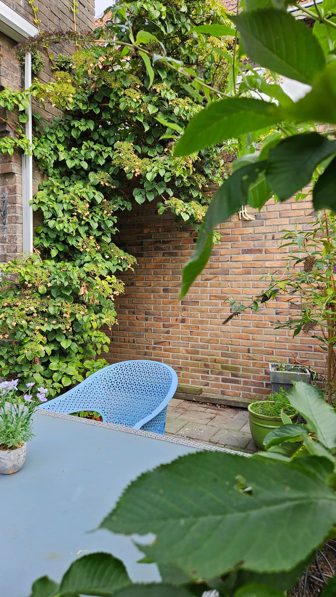 Foto 17 van Axelsestraat 37