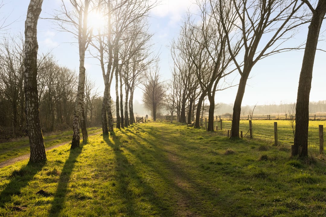 Foto 56 van Costerij 15