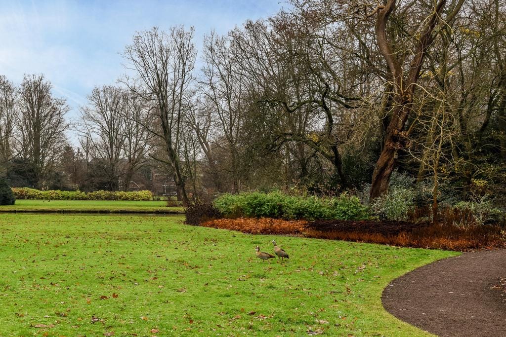 Photo 42 of De Savornin Lohmanlaan 16