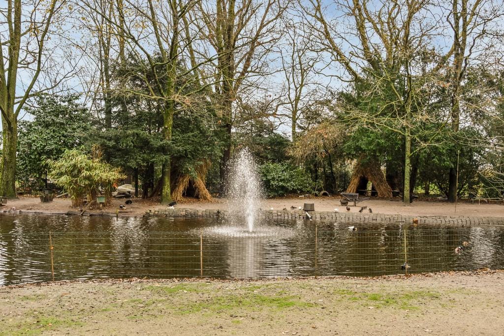 Photo 43 of De Savornin Lohmanlaan 16