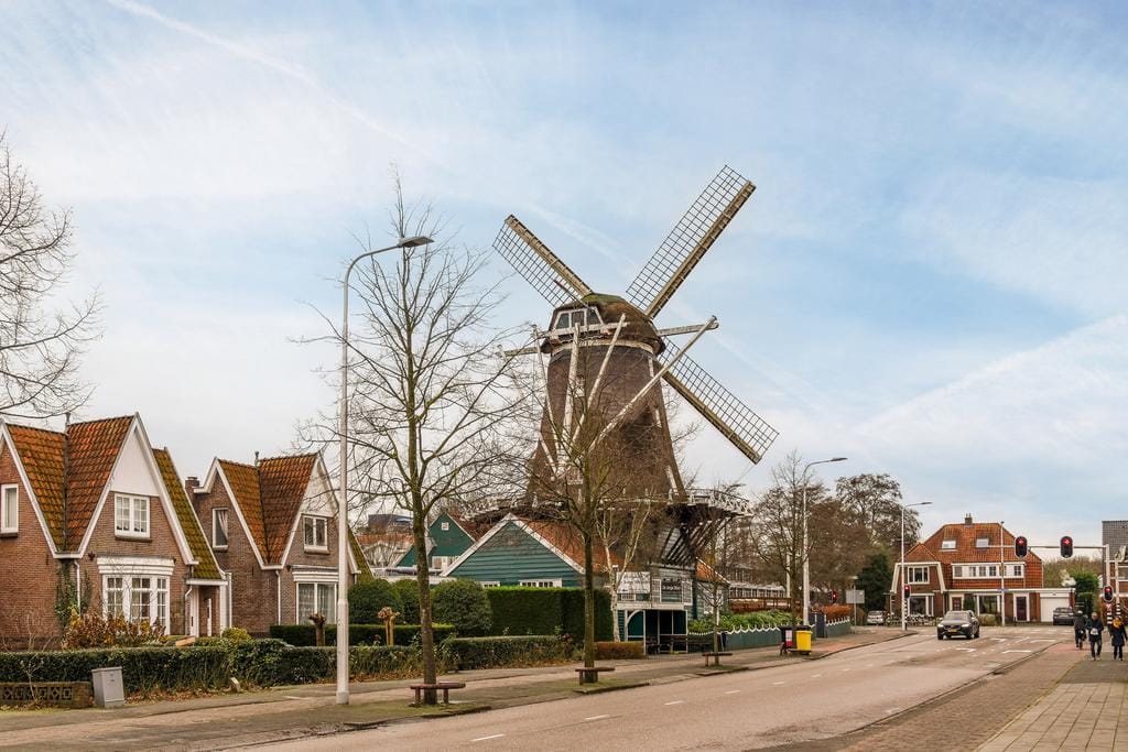 Photo 44 of De Savornin Lohmanlaan 16