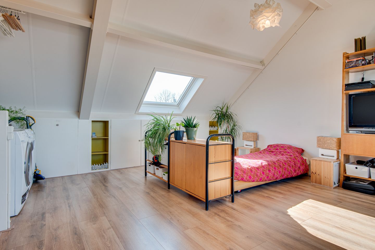 Foto 20 van Korenveld 1