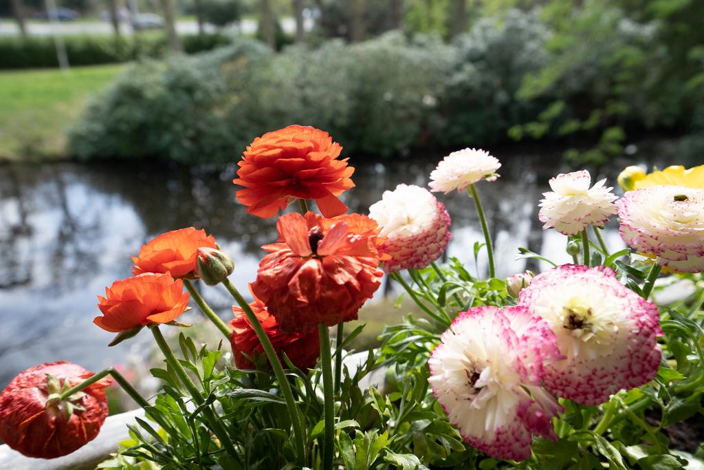 Photo 44 of Rijksstraatweg 392