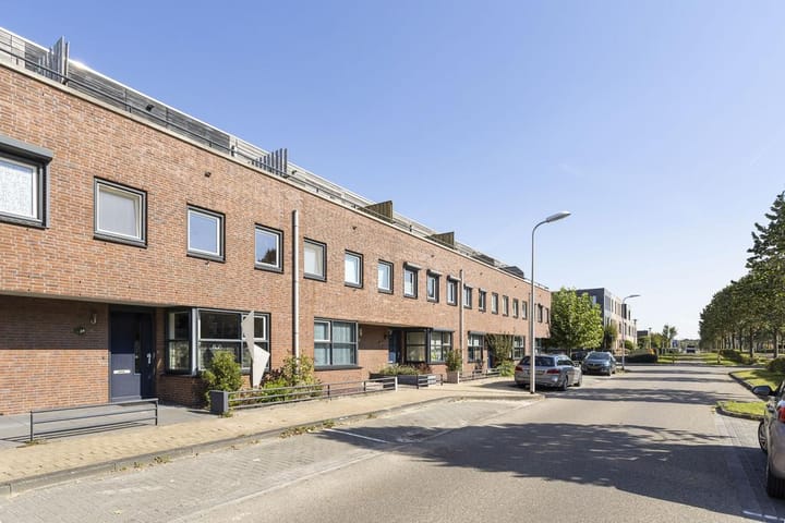 Foto 22 van Zilvervlek 25