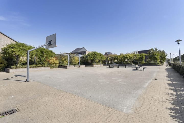 Foto 26 van Zilvervlek 25