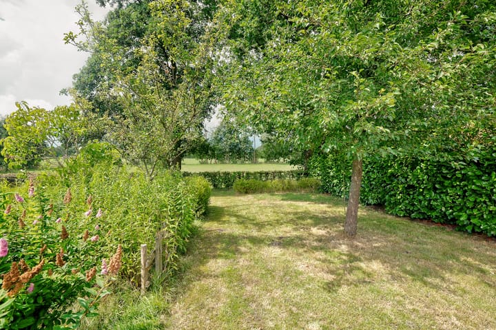 Foto 41 van Rydwei 42