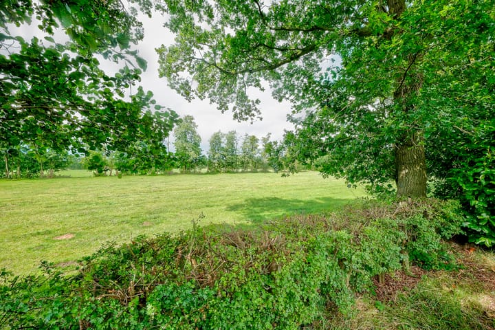 Foto 42 van Rydwei 42