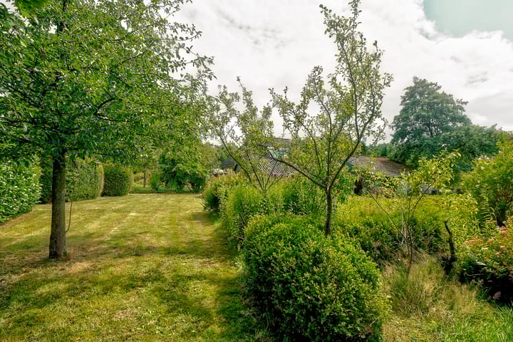 Foto 43 van Rydwei 42