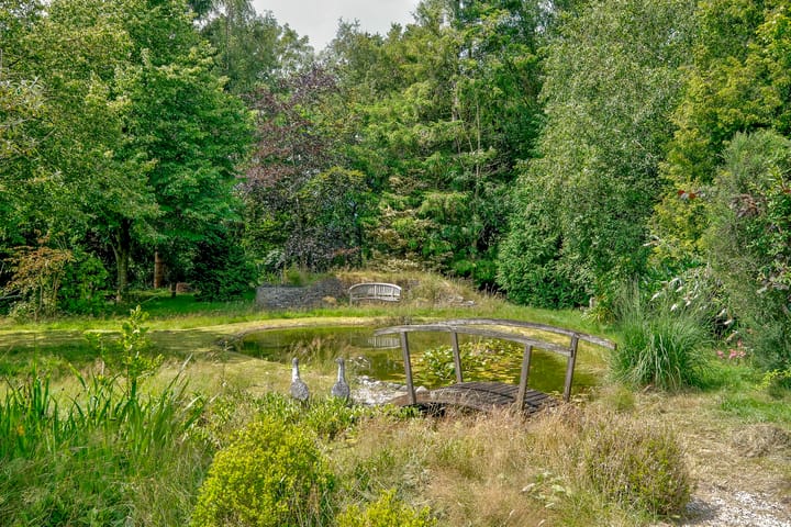 Foto 51 van Rydwei 42