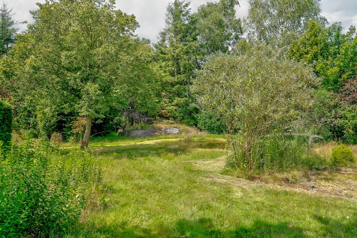 Foto 53 van Rydwei 42