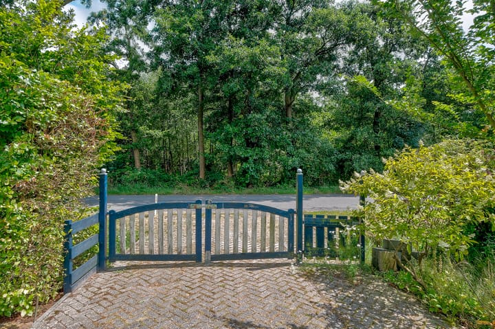 Foto 59 van Rydwei 42