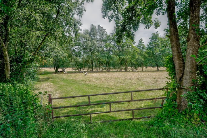 Foto 68 van Rydwei 42