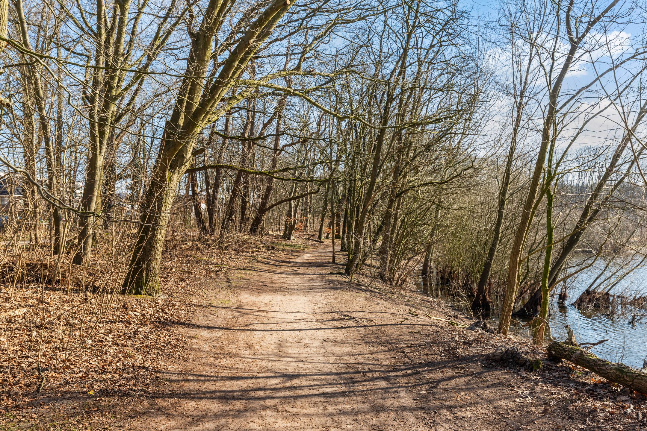 Photo 18 of Anthony Fokkerweg 162