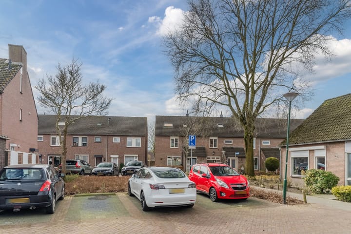 Foto 50 van Dassenburcht 6