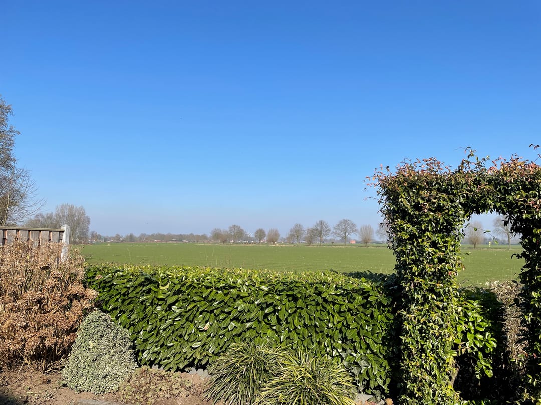 Photo 37 of Tiendevrij 17