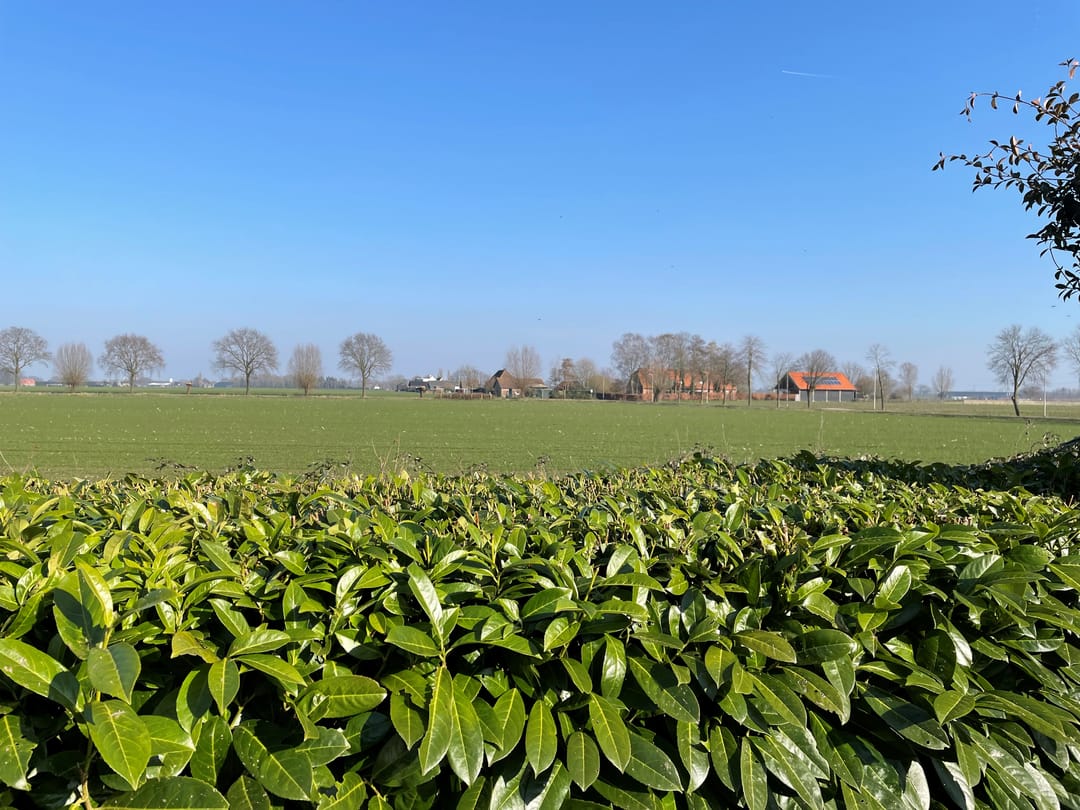 Photo 38 of Tiendevrij 17