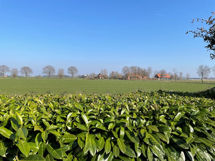 Foto 38 van Tiendevrij 17