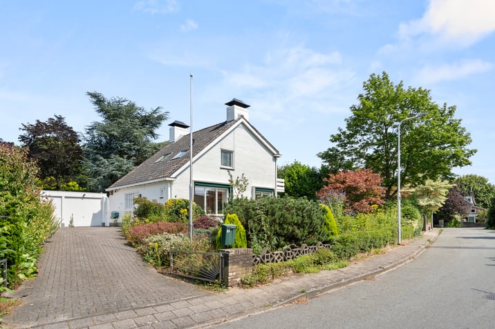 Onder de Bomen 5-A main image