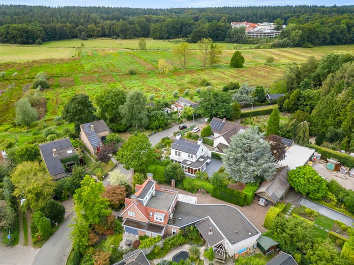 Foto 5 van Onder de Bomen 5-A