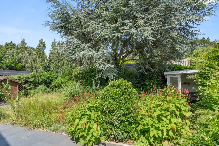 Foto 12 van Onder de Bomen 5-A