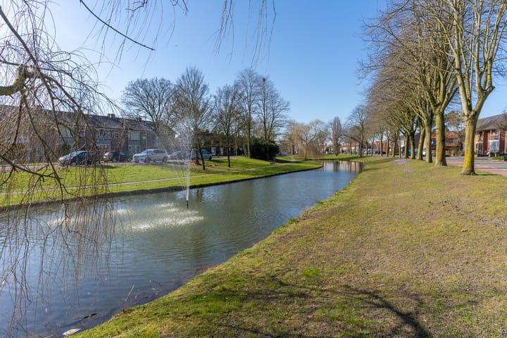 Foto 5 van De Wittenhagen 85