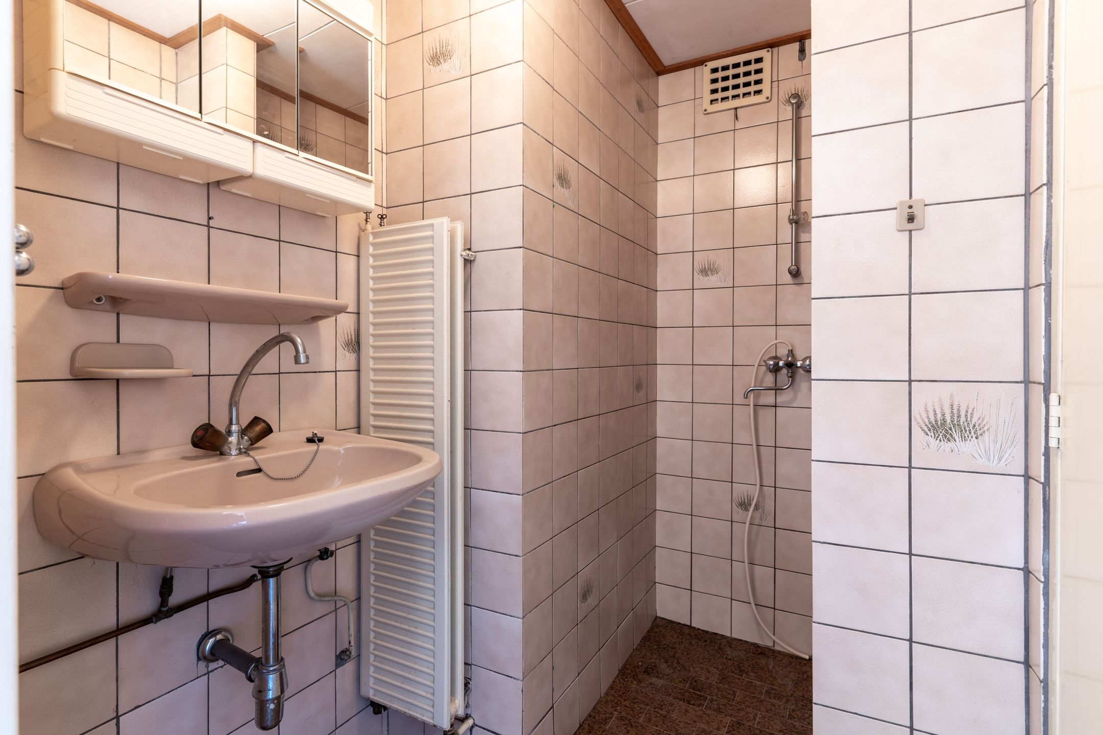 Foto 24 van De Wittenhagen 85