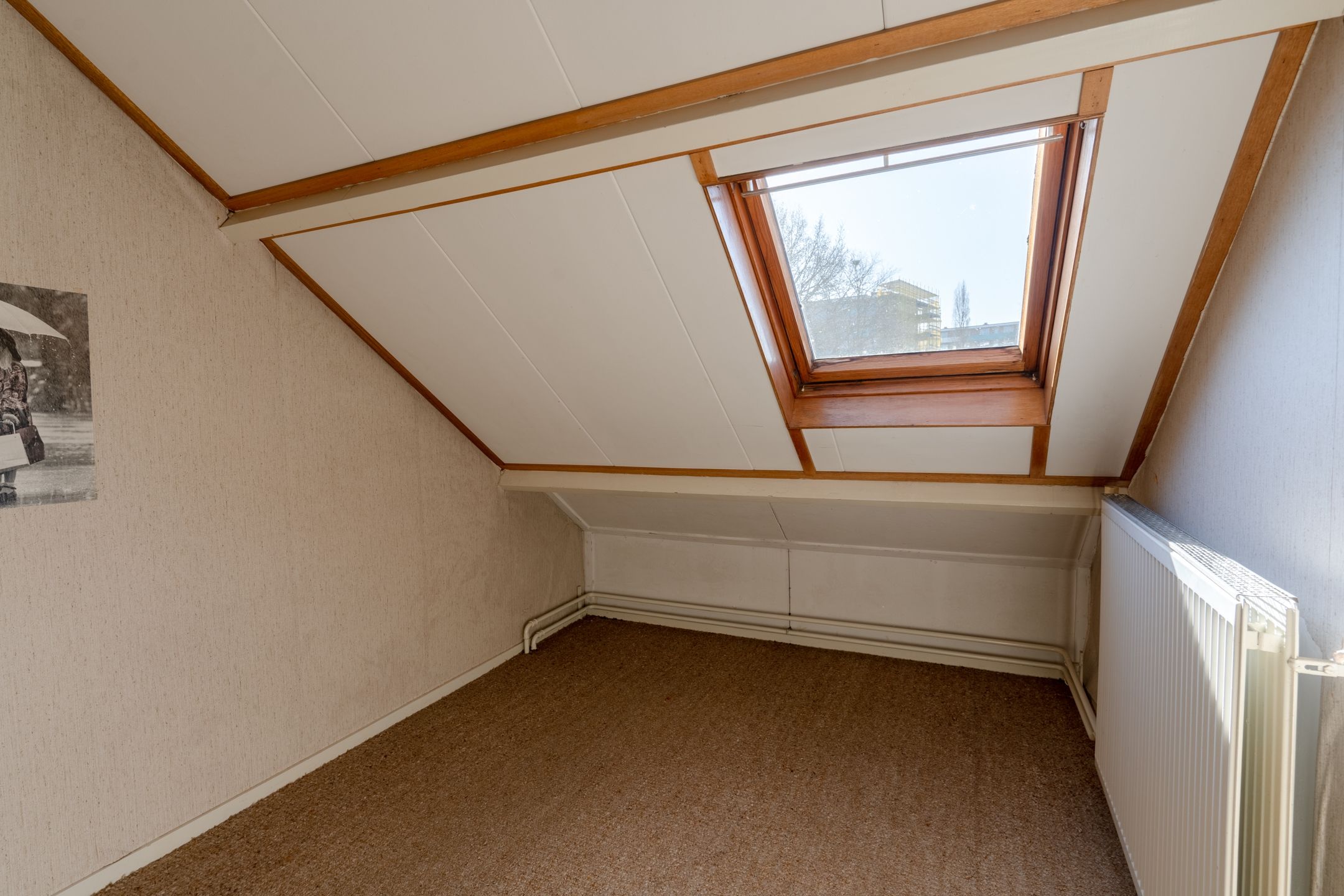 Foto 30 van De Wittenhagen 85