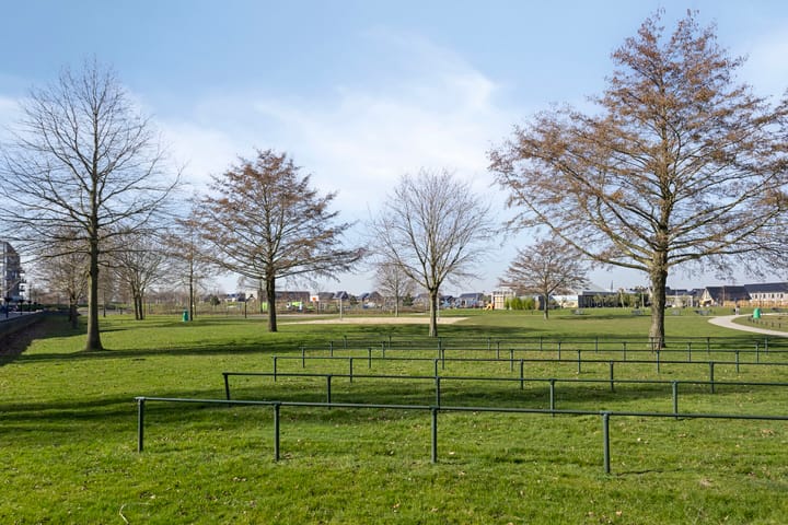 Foto 6 van Bultkroos 51