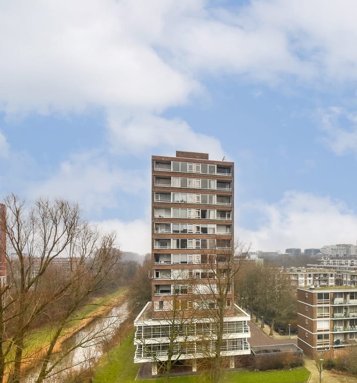 Foto 21 van Maassluisstraat 518