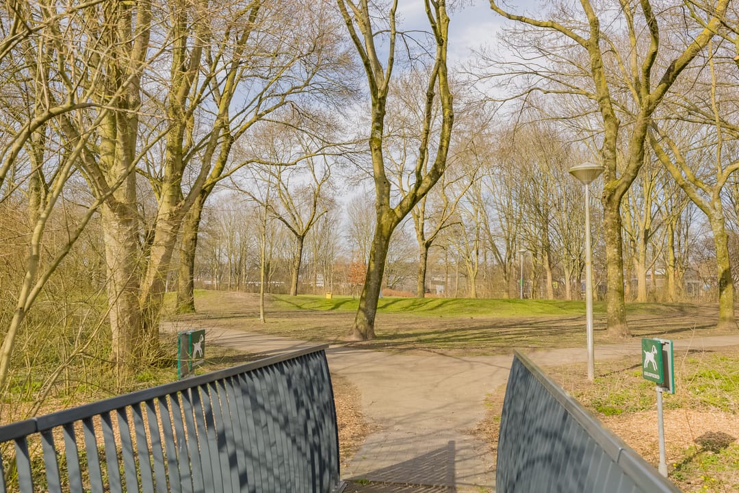 Foto 38 van Binkhorst 113